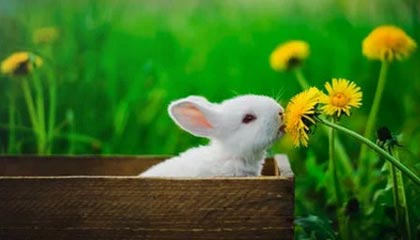 俄联邦安全局拘留一女子：以拍摄游泳者为由拍下舰艇照片，为乌克兰提供情报