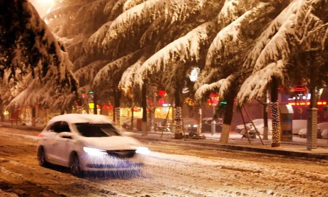 全面布局丨半年上千家门店扶持+拓客，西米优在行动！