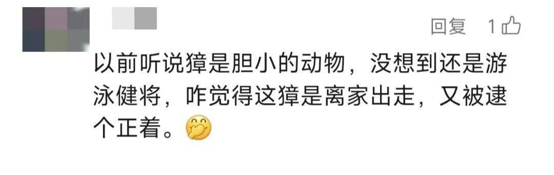 上海惊现"越狱者"!从浦东游20公里到崇明,身份查清让网友惊掉下巴