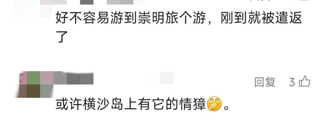 上海惊现"越狱者"!从浦东游20公里到崇明,身份查清让网友惊掉下巴