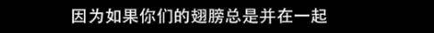 他们那么幸福恩爱,怎么突然离婚了……