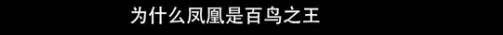 他们那么幸福恩爱,怎么突然离婚了……