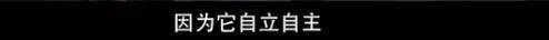 他们那么幸福恩爱,怎么突然离婚了……