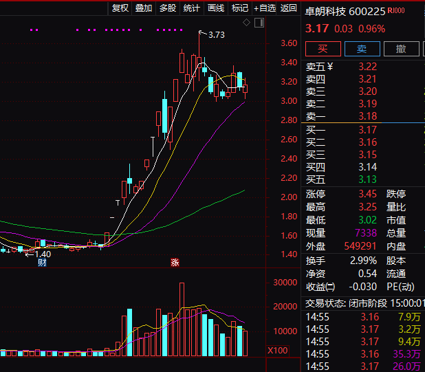 连续5年造假!这只A股,面临强制退市!