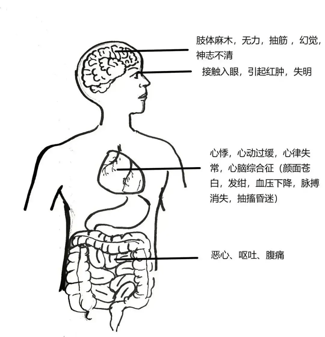 已致1人死亡!紧急提醒:有剧毒,别碰