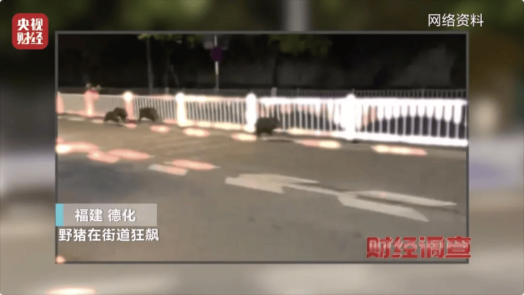 已确认,当场击毙!“攻击力极强!”