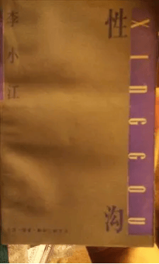 李小江：想在有限的岁月里，多做一些基础性的奠基工作 | 纪念