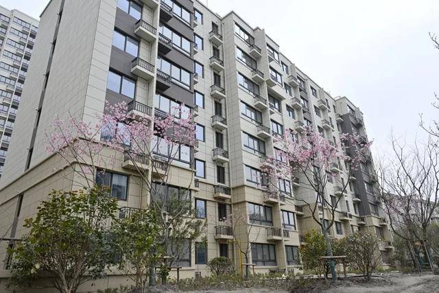 上海阿姨太开心！原拆原建马上搬回，配1600个车位，还有一个养老院…连80多棵老树都回来了