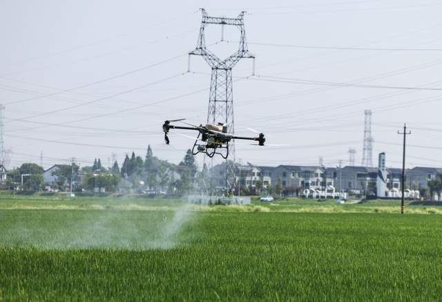 时评：让希望的田野展现“新”活力