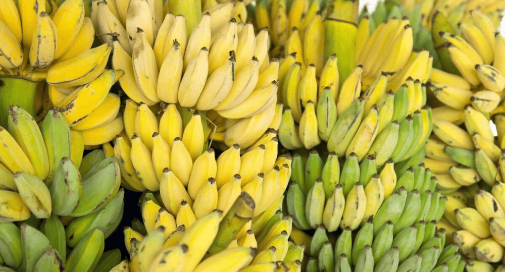 马科斯天塌了！没等解放军出手，菲订单暴跌4成，早该这么做了