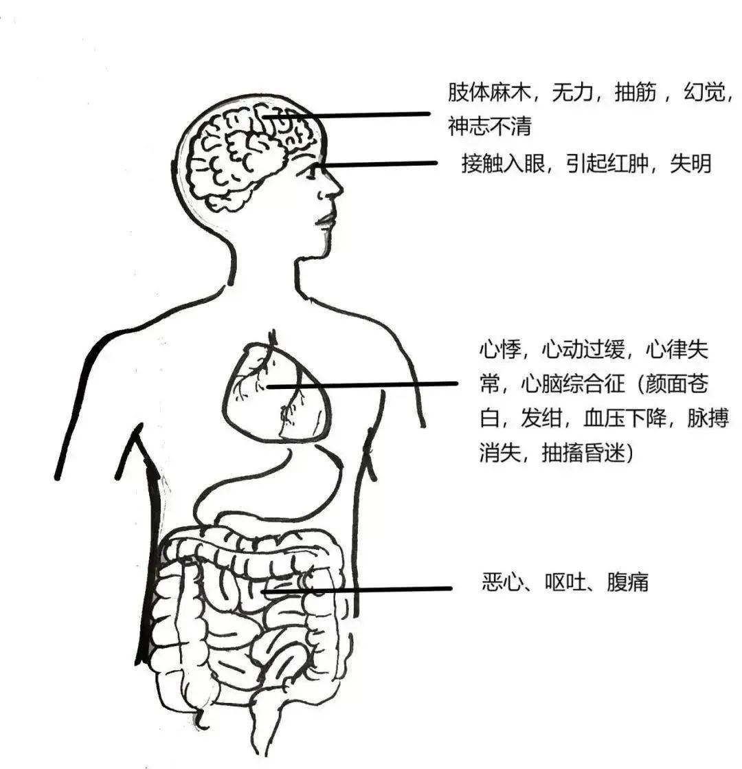不要吃!含剧毒!无解药!已有人因此身亡…