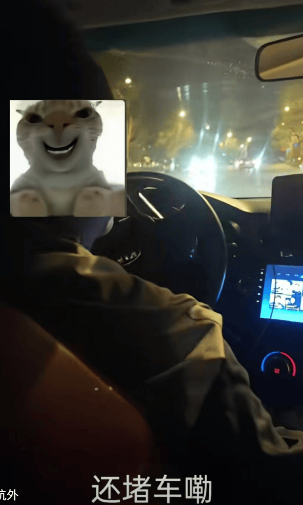 开封回应“游客遇黑车2.5公里被收50元”：正在查捕涉事车辆，一旦发现立即扣留