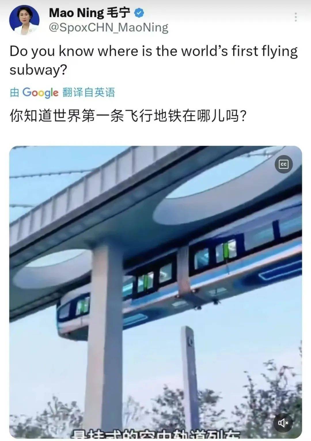 外交部转发!武汉空轨上有羊驼