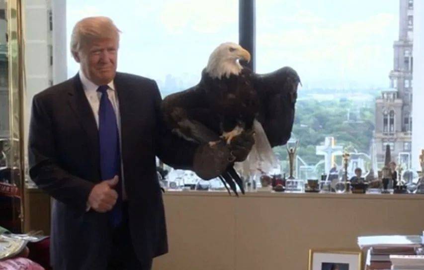 耶伦再次站了出来，若是与中国对着干，就把美国自己给“打残”了