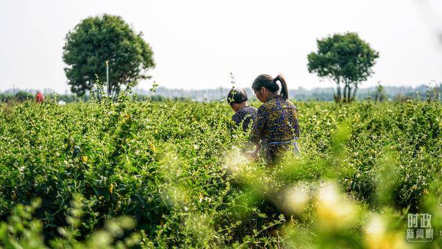 时政新闻眼丨再赴河南考察，习近平为何强调这两个关键词？