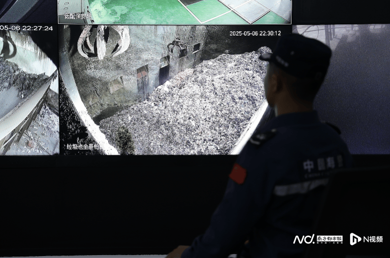 焚烧牛肚、猪肚等，约1200吨！深圳海警局集中处置