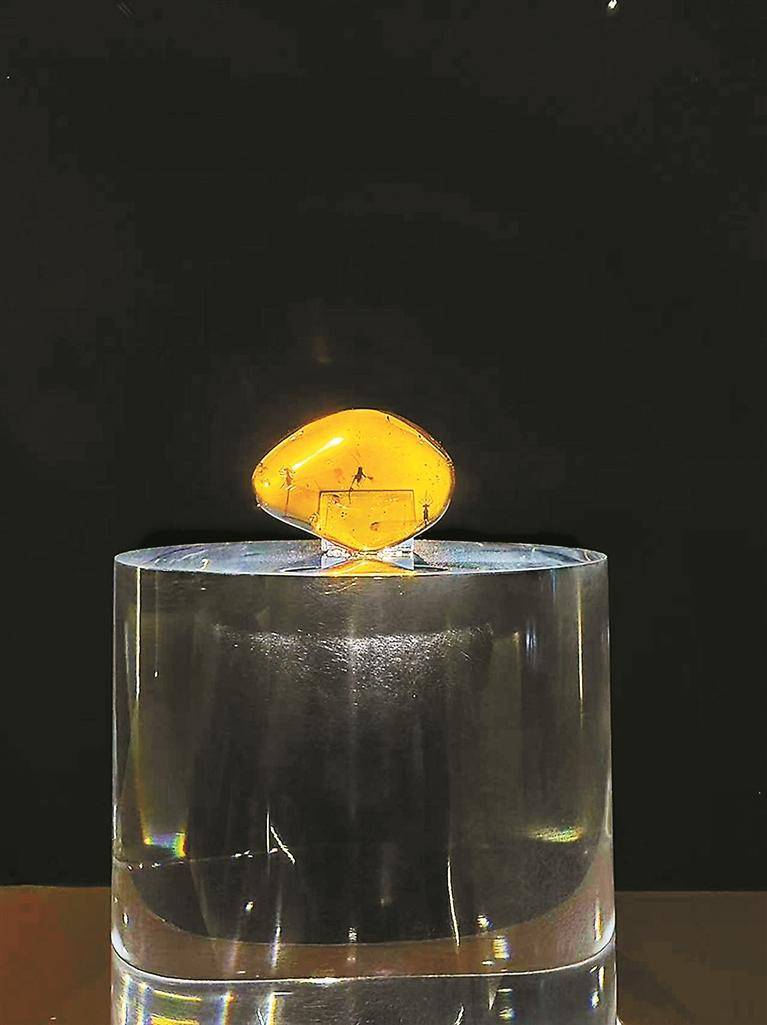 蝎子捕猎、马陆挣扎、蜥蜴虎视眈眈……琥珀重现亿万年前“生死时刻”