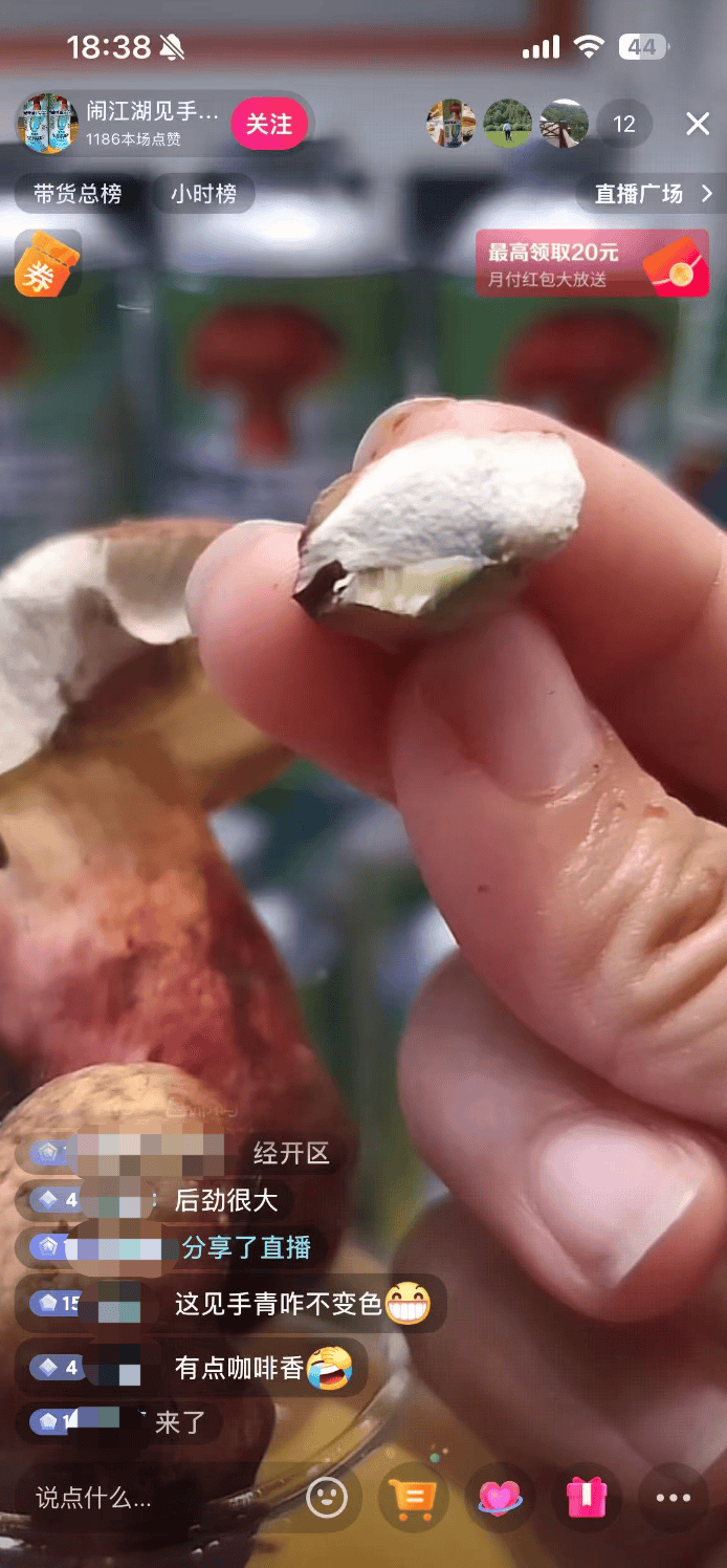 10万瓶一周抢售一空！云南“见手青啤酒”卖疯，背后代工厂竟欠债400万？