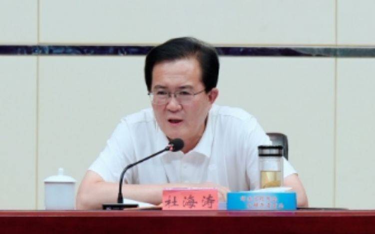 副厅级杜海涛，被查