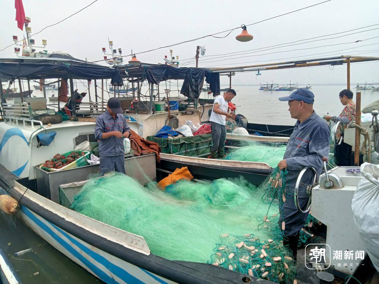 还有六天，钱塘江鲜回归，杭州杨公社区渔民：第一波盼刀鱼