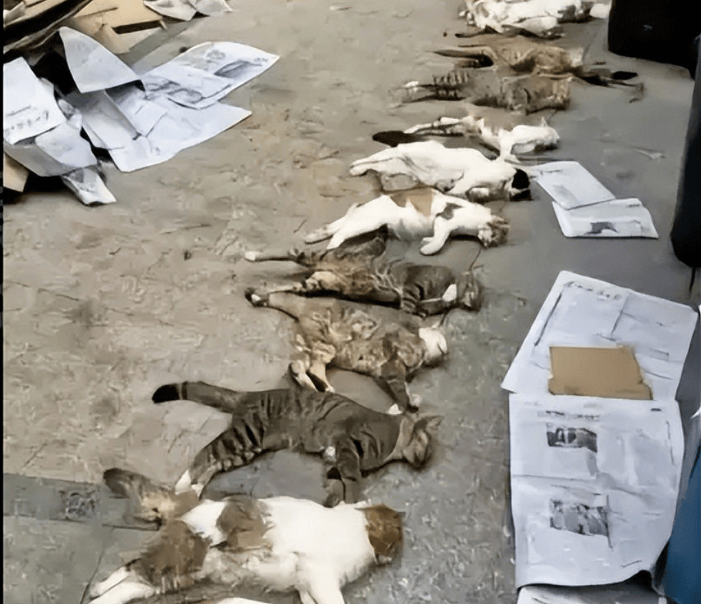 桂林编制考试刷掉第一名：别等社会淘汰你的孩子，才后悔没教他