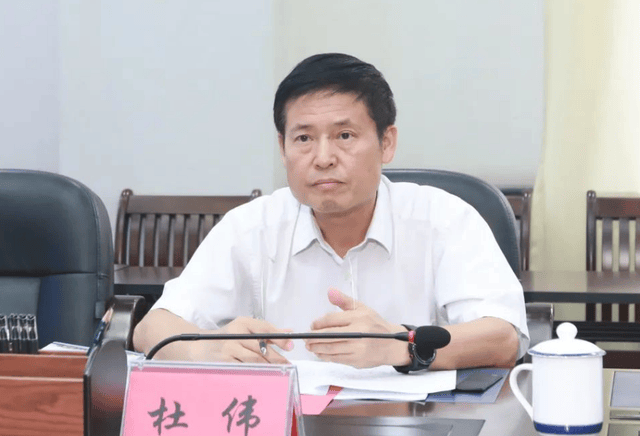 博士高官落马！中央巡视组入驻不足半月，南宁市政协原主席杜伟被查