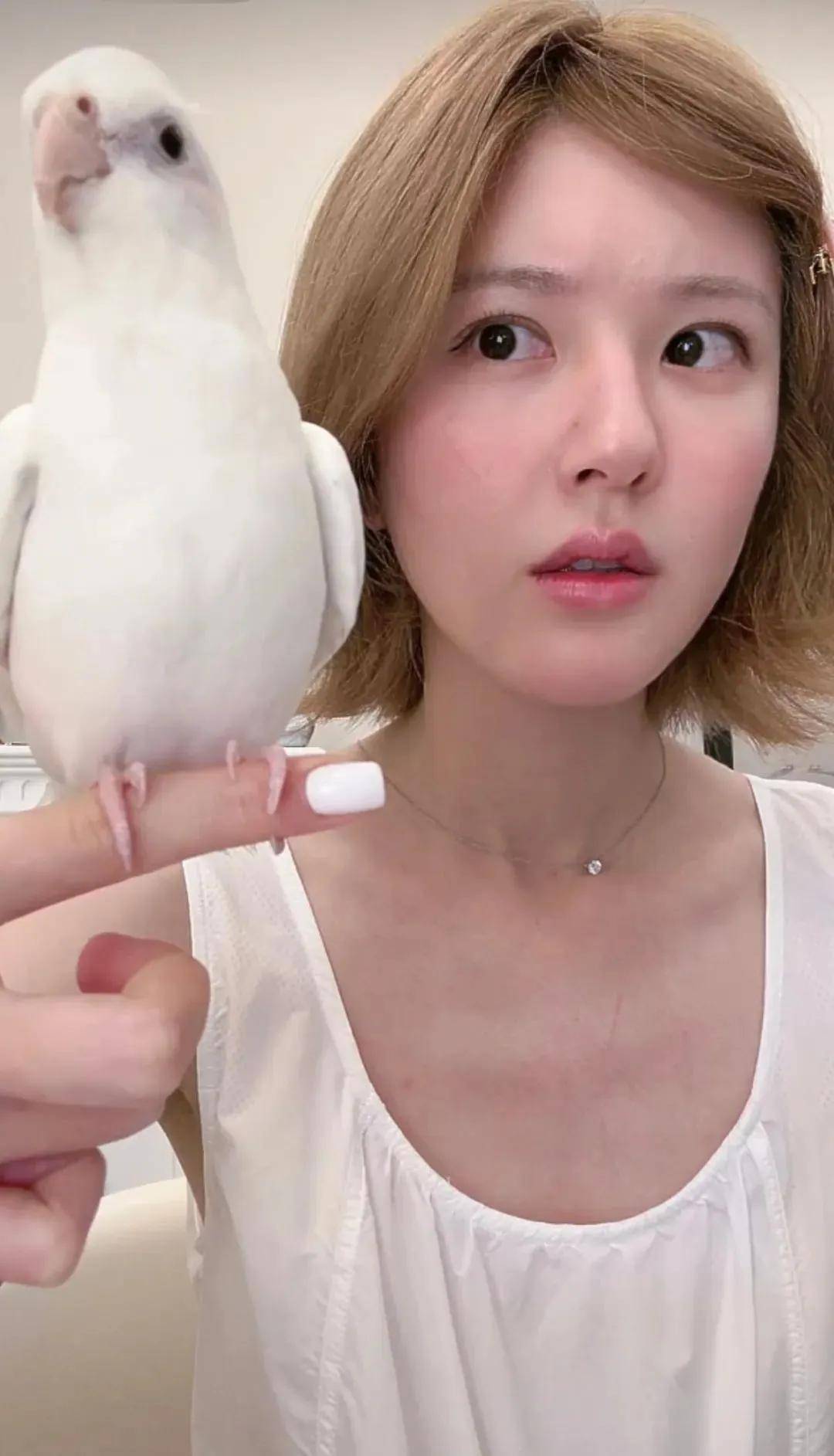 怒撕经纪公司后赵露思开启直播，同款花卷、包包都卖爆