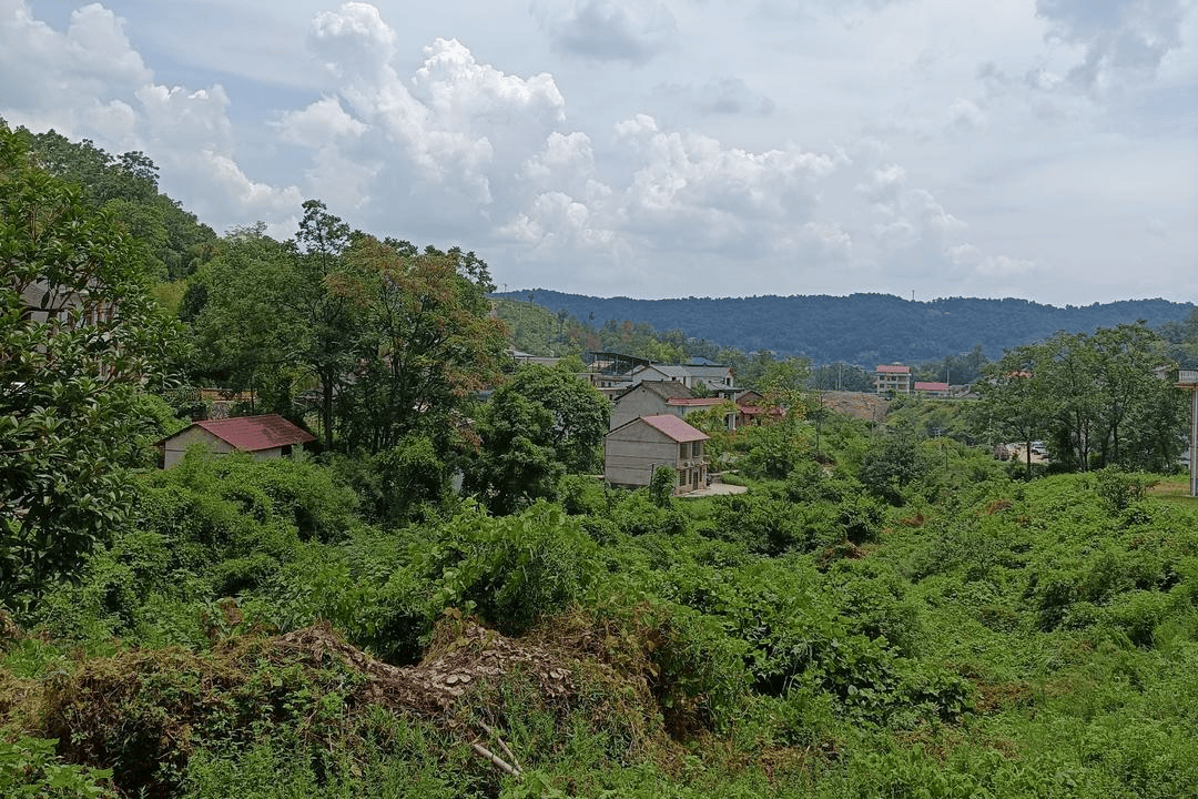 一个正厅一个副处，两名“蔡光辉”落马竟是亲兄弟，父亲称长子曾改名|红星调查