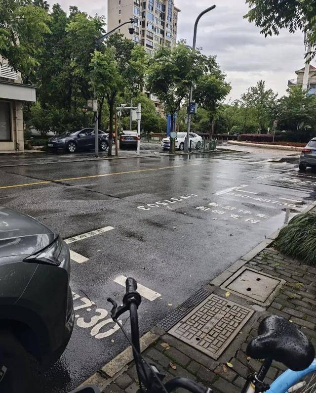 上海市民吐槽：路边停车让后排人下车，仅12秒也被收费！本该更便民的智慧停车，为何遭受质疑？