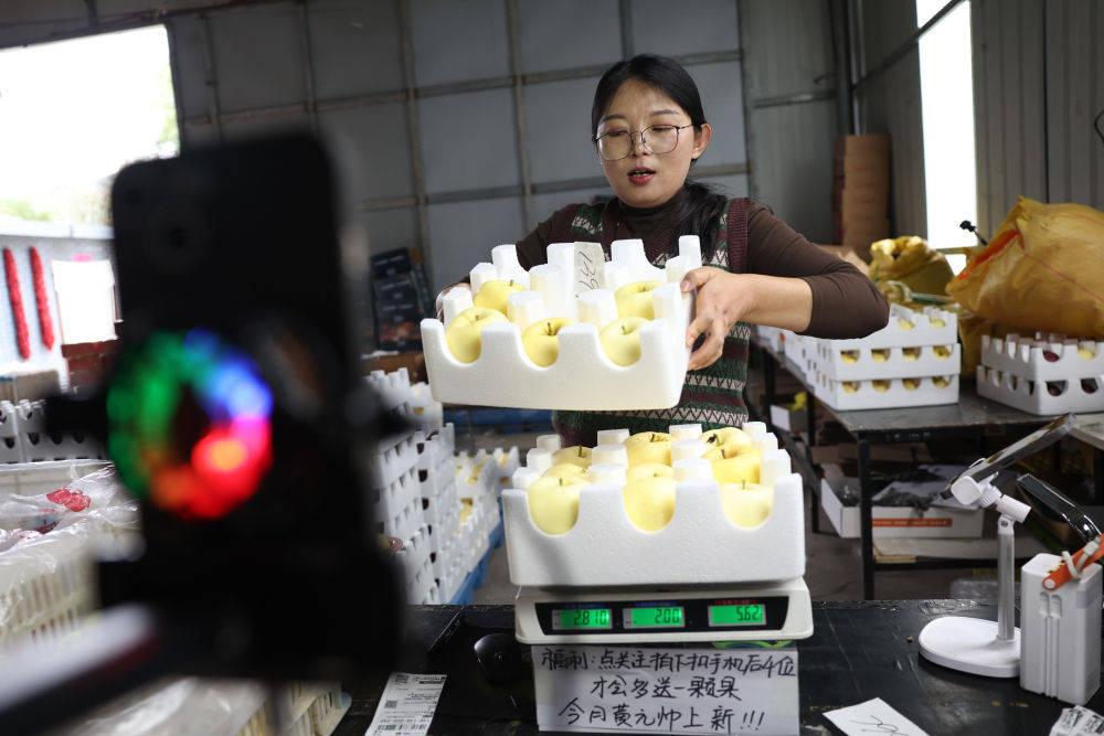 “十四五”身边事｜农村电商，物流“链”动致富路