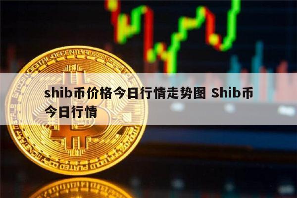 shib币10月13(shib币今天的市场价格)