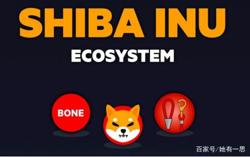 shib是空气币(shib会是空气币吗)