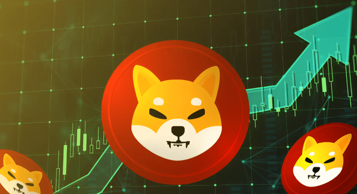 播放shib币(ship什么币)