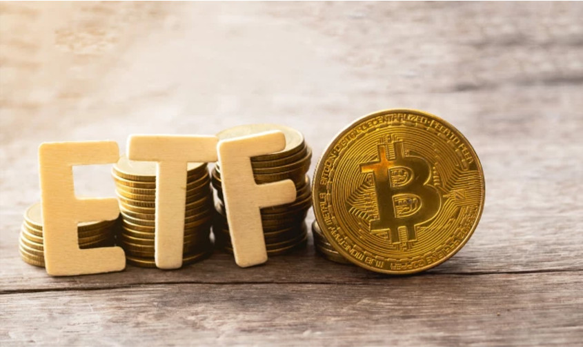 shib币的最新价格(shib币最新价格消息)