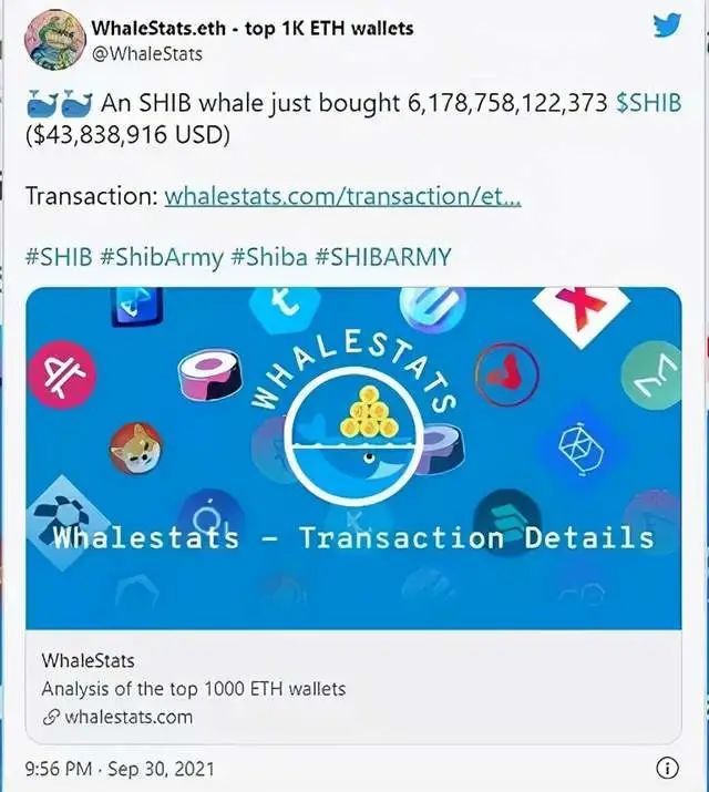 我要看shib币全集的简单介绍