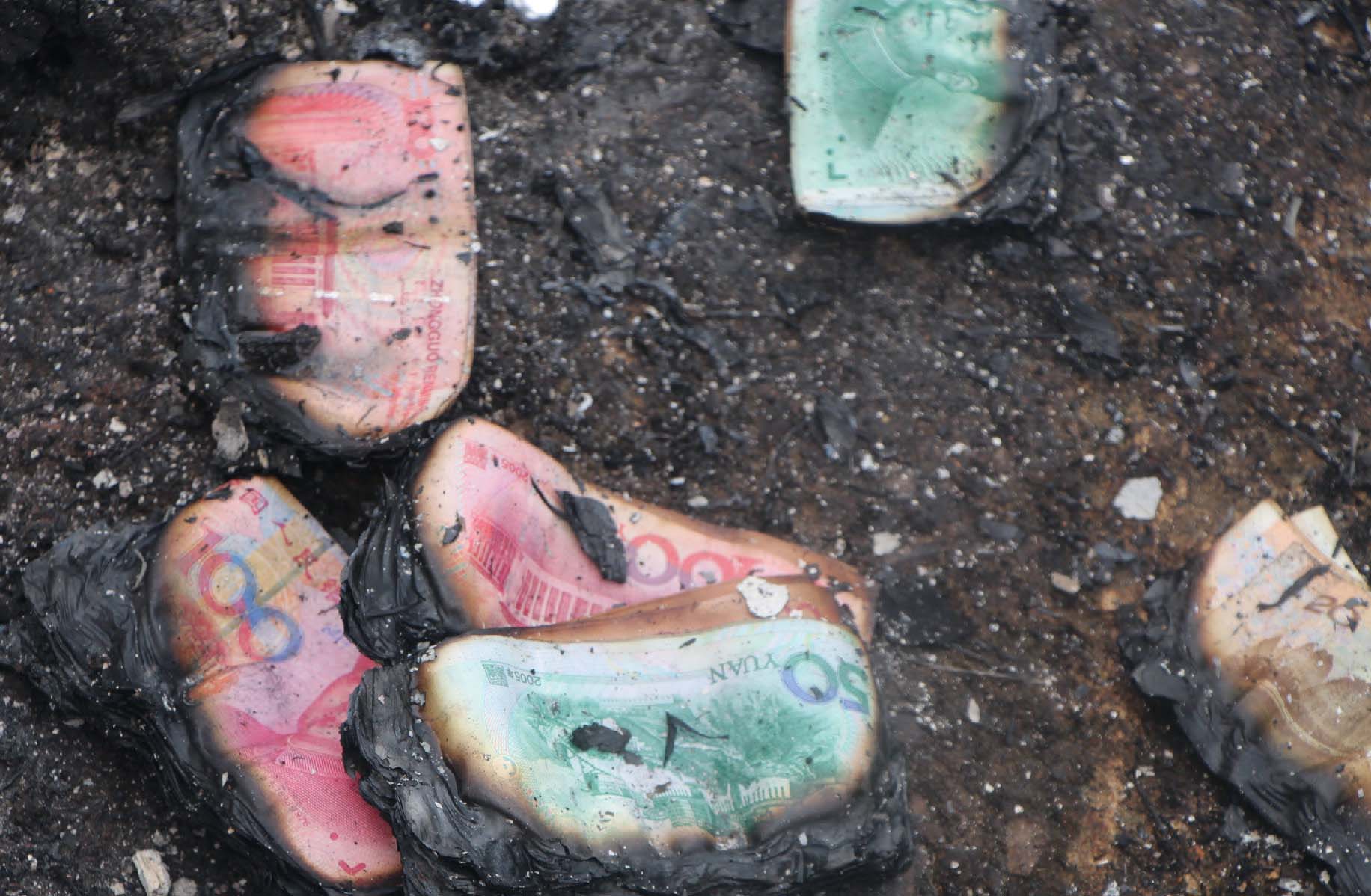 shib烧毁谁的币(shib币自己燃烧销毁多少)