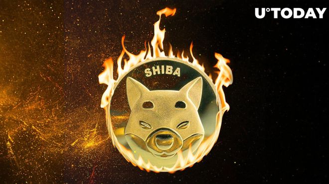 shib烧毁谁的币(shib币自己燃烧销毁多少)