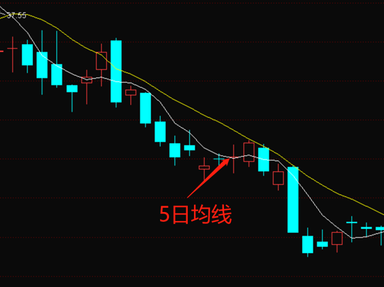 shib币五月到十月k线(shib币突然暴涨10月05日)