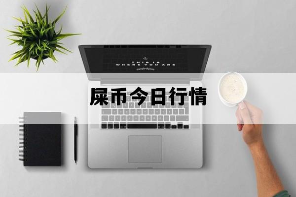 屎币shib跌成屎的简单介绍