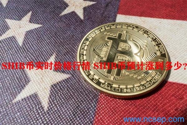 shib币团队目标0.1美金的简单介绍