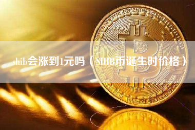 帮我搜一下shib币(shib这个币做什么的)