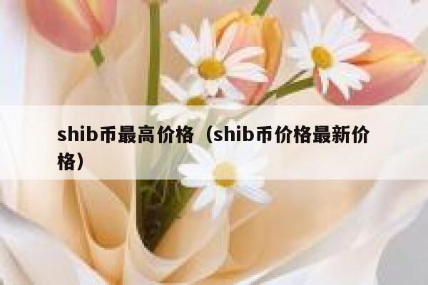 shib币是哪个链上的的简单介绍
