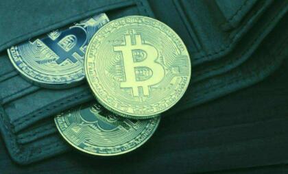 未来shib币会涨1美金吗(未来shib币会涨1美金吗知乎)