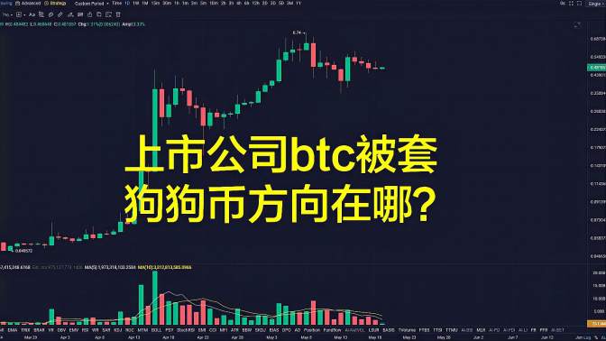 shib币有什么利好吗(shib币值得长期投资吗)