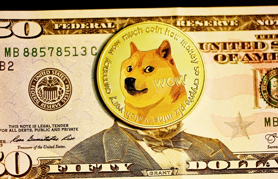 包含shib成为政治币的词条