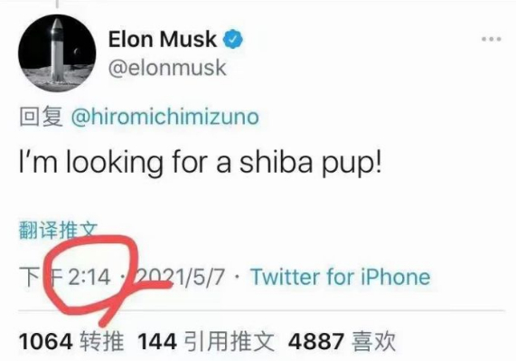 shib币在哪里推广(shib币在哪个平台购买)