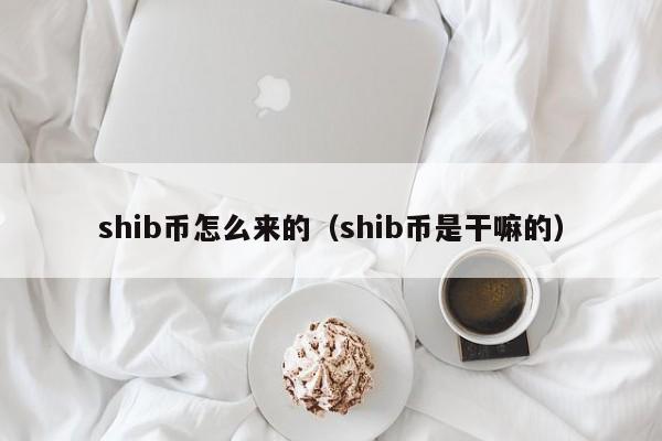 哪个币种会超越SHIB(未来什么币子能超越比特币)