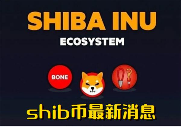 shib币今天怎么跌了(shib币价格今日行情金色财经)