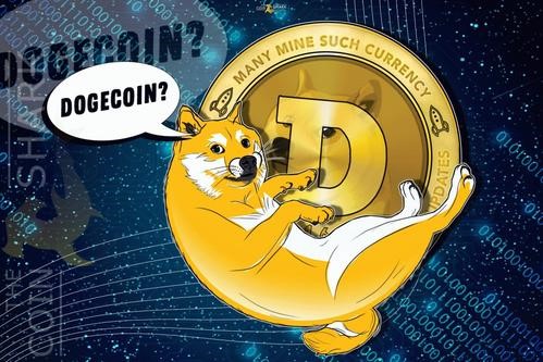 关于SHIB狗狗币有没有发展空间的信息