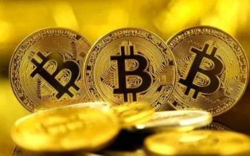 关于pig币和shib币的前景的信息